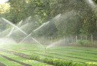 Cremorne NSWlandscaping-water-management-and-drainage-17.jpg; ?>